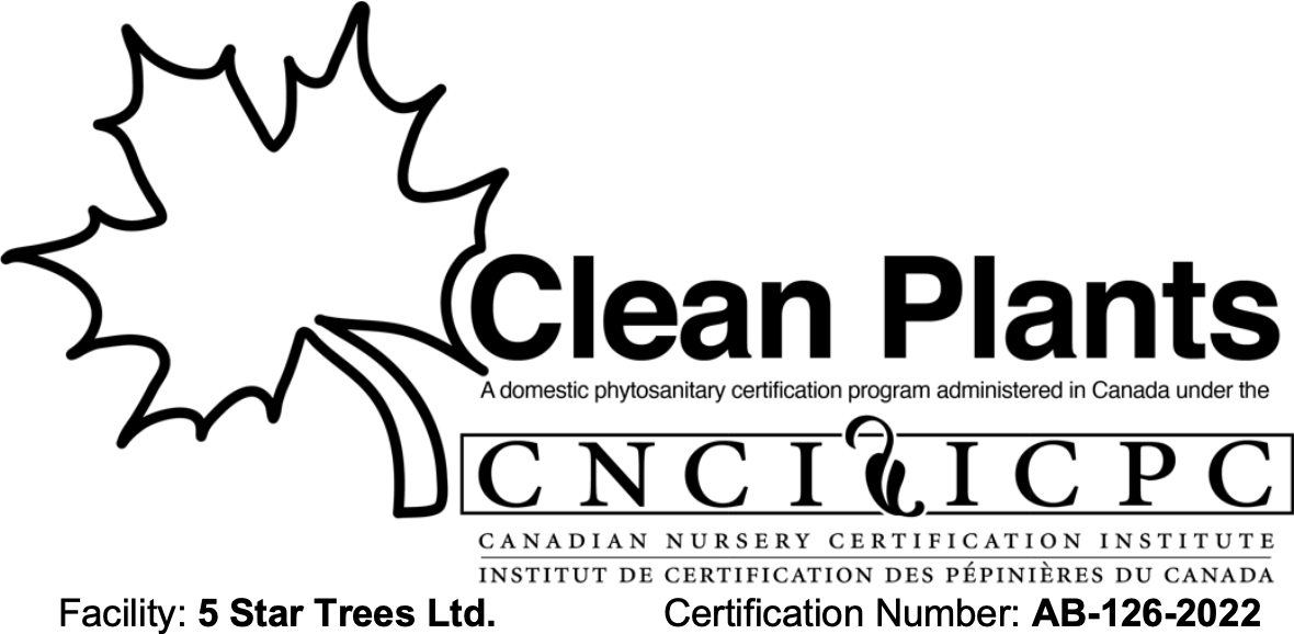 Clean Plants Logo